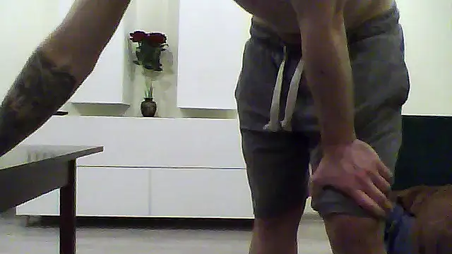 shufflercat online show from 04-17-26, 09:17