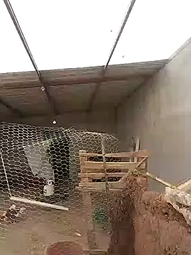 Rober2230 online show from 01-12-25, 07:53