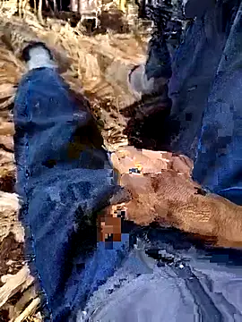 Snapshot of murokkk31 chatting on 12-04-25, 08:35 murokkk31 online show from 12-04-25, 08:35