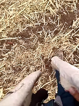 Snapshot of murokkk31 chatting on 10-21-25, 04:56 murokkk31 online show from 10-21-25, 04:56