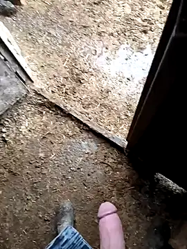 Snapshot of murokkk31 chatting on 01-09-26, 07:26 murokkk31 online show from 01-09-26, 07:26