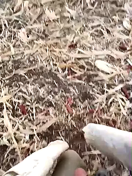 Snapshot of murokkk31 chatting on 09-15-25, 02:56 murokkk31 online show from 09-15-25, 02:56