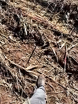 Snapshot of murokkk31 chatting on 12-14-25, 08:42 murokkk31 online show from 12-14-25, 08:42