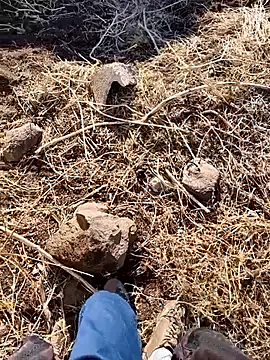 Snapshot of murokkk31 chatting on 12-03-25, 06:25 murokkk31 online show from 12-03-25, 06:25