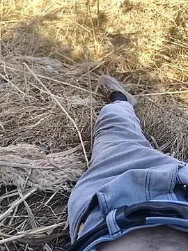 Snapshot of murokkk31 chatting on 10-27-25, 08:26 murokkk31 online show from 10-27-25, 08:26