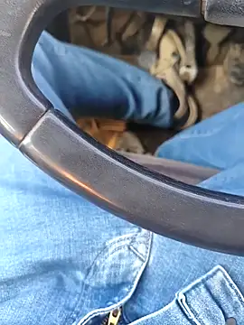 Snapshot of murokkk31 chatting on 01-08-26, 08:31 murokkk31 online show from 01-08-26, 08:31