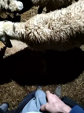 Snapshot of murokkk31 chatting on 01-09-26, 11:33 murokkk31 online show from 01-09-26, 11:33