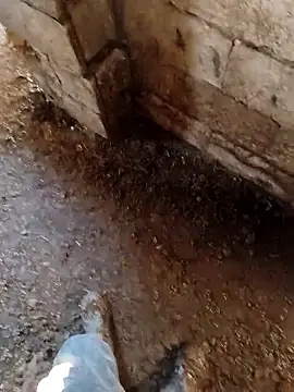 Snapshot of murokkk31 chatting on 01-14-26, 07:12 murokkk31 online show from 01-14-26, 07:12