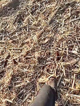 Snapshot of murokkk31 chatting on 09-30-25, 01:50 murokkk31 online show from 09-30-25, 01:50