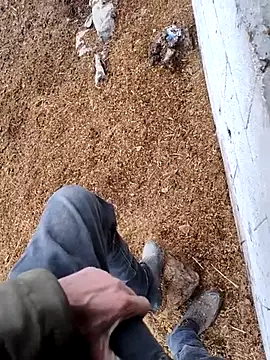 Snapshot of murokkk31 chatting on 11-15-25, 12:42 murokkk31 online show from 11-15-25, 12:42