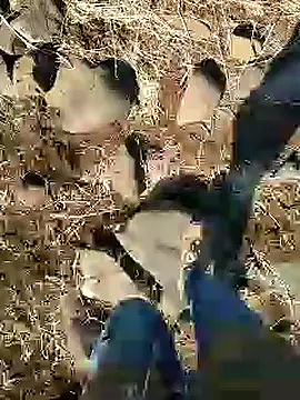 Snapshot of murokkk31 chatting on 01-25-25, 09:15 murokkk31 online show from 01-25-25, 09:15