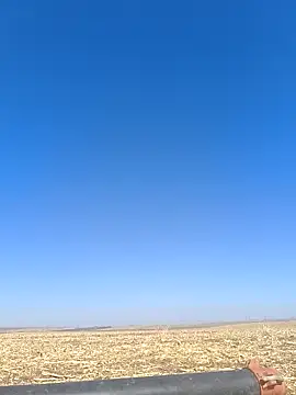 Snapshot of murokkk31 chatting on 10-18-25, 08:16 murokkk31 online show from 10-18-25, 08:16