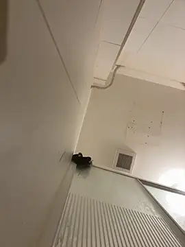 Pablo666666 hot online show from 03-31-26, 07:38