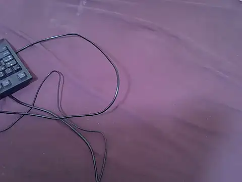 tasty piee online show from 02-13-26, 01:33