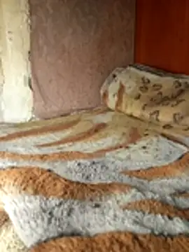 Holly Bette online show from 03-13-26, 06:35