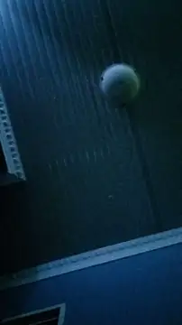 Dickey sa online show from 02-13-26, 08:31