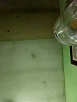 Alonsomadeira online show from 12-17-25, 06:07