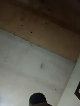 Alonsomadeira online show from 04-10-26, 09:27