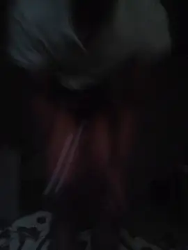 wlammi ptr online show from 04-24-26, 04:36