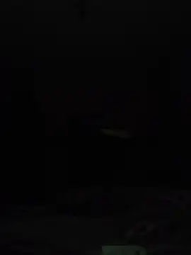 wlammi ptr online show from 09-14-25, 12:22