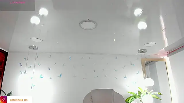  Antonnela  online show from 02-22-26, 02:41