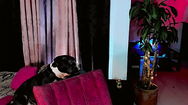 the-horus-girl online show from 02-15-26, 11:47