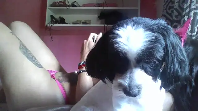 Bonecagulosa online show from 11-04-25, 04:00