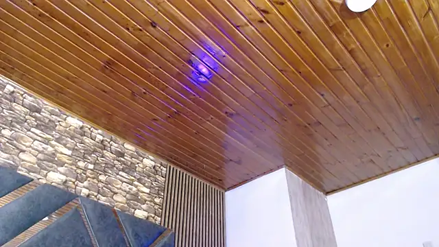 marie hss online show from 11-08-25, 08:23