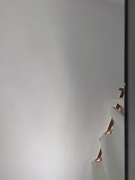 publicsir online show from 11-14-25, 04:10