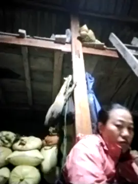 pvppm online show from 03-07-25, 10:10