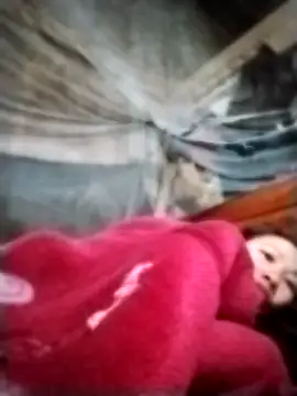 pvppm online show from 03-22-25, 10:26