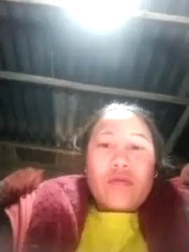 pvppm online show from 02-26-25, 01:54