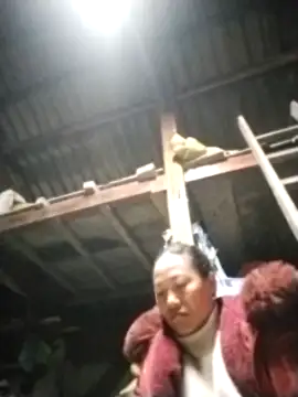 pvppm online show from 03-18-25, 10:26