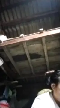 pvppm online show from 03-05-25, 10:21