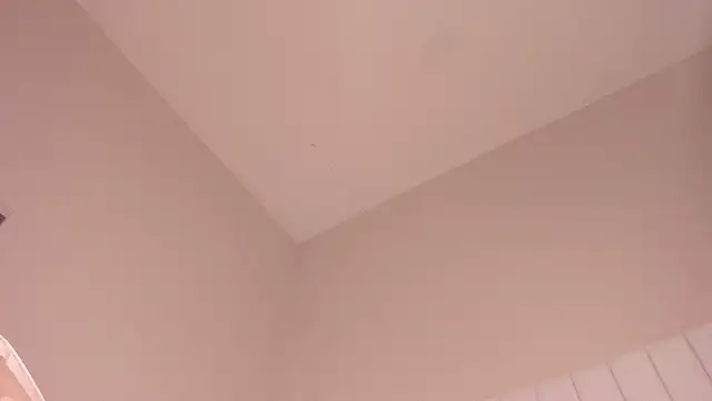 julieta flower online show from 03-12-25, 07:14