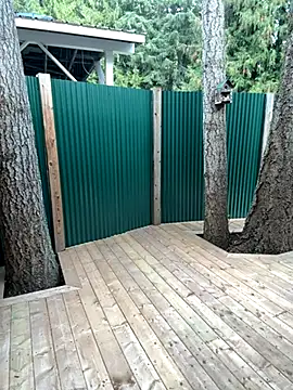 twist699 online show from 11-11-25, 06:47