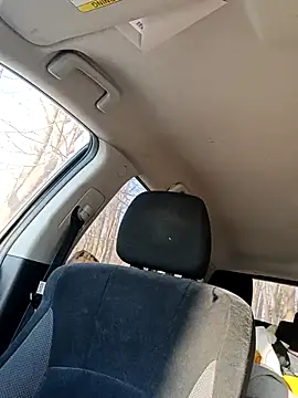 Snapshot of otterlover123 chatting on 02-16-26, 09:34 otterlover123 online show from 02-16-26, 09:34