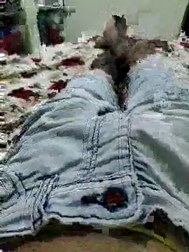 thegoodboy6060 online show from 09-09-25, 09:19