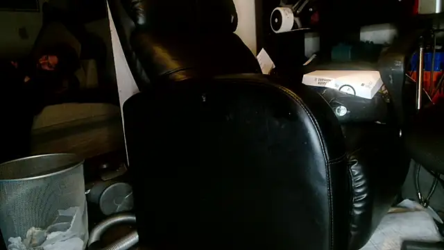 Snapshot of Gigadickman chatting on 01-02-25, 02:54 Gigadickman online show from 01-02-25, 02:54