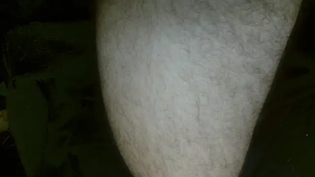 Snapshot of Gigadickman chatting on 02-27-25, 01:30 Gigadickman online show from 02-27-25, 01:30