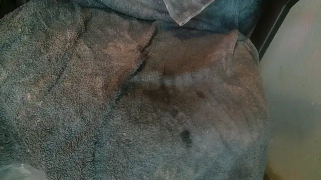 Snapshot of Gigadickman chatting on 01-14-25, 08:26 Gigadickman online show from 01-14-25, 08:26