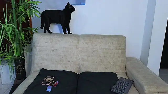 Lorenne Miller online show from 03-13-26, 03:11