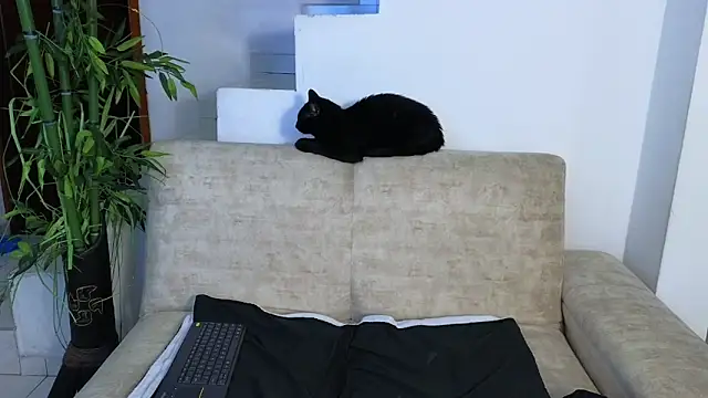 Lorenne Miller online show from 04-22-26, 03:57