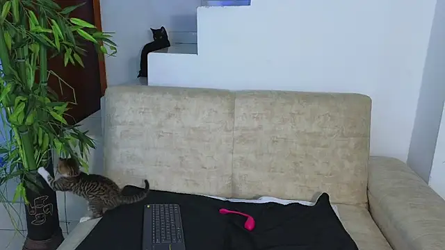 Snapshot of Lorenne_Miller chatting on 10-21-25, 03:39 Lorenne Miller online show from 10-21-25, 03:39