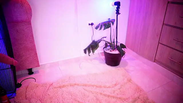 Mikubani18 online show from 11-08-25, 03:43