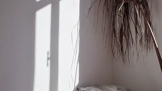 my lina online show from 10-17-25, 06:28