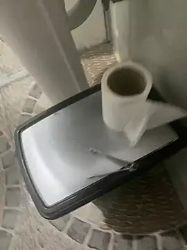 Snapshot of anubi0880 chatting on 12-09-24, 02:24 anubi0880 online show from 12-09-24, 02:24