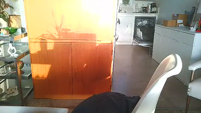 costanza7070 online show from 12-15-25, 12:05