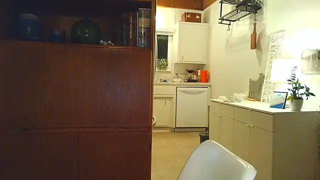 costanza7070 online show from 11-15-25, 04:49