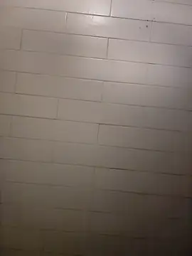 Wildherb244 online show from 12-21-24, 02:26